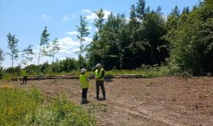 трелювання