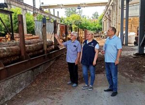 Чернігів. Деревообробка